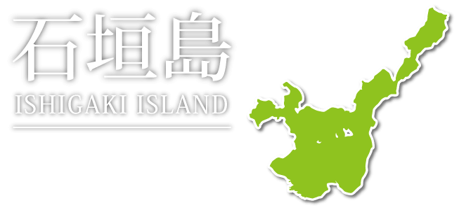 石垣市の賃貸アパート マンション うちなーらいふ 沖縄の不動産 賃貸住宅情報 物件数 31件