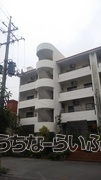 建物の写真