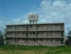 建物の写真