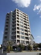 建物の写真