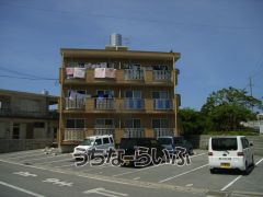 建物の写真