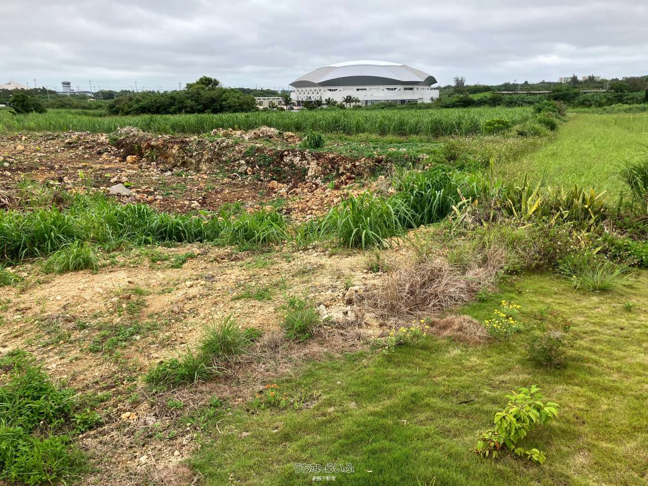 【値下げ】龍宮城 裏島 ホテルアンダーグラウンド / 宮古島市平良字下里 / 84.73m²