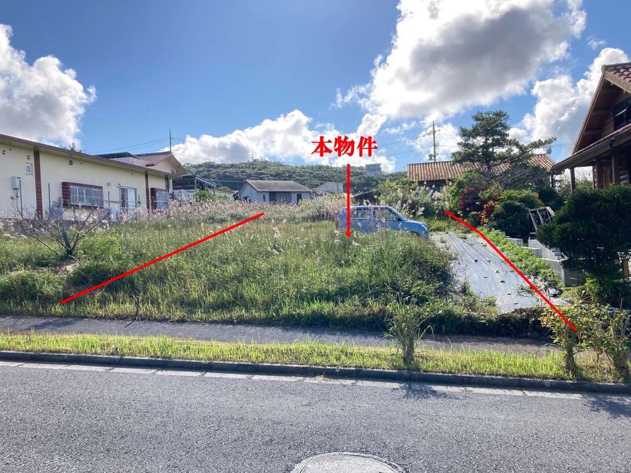 沖縄の都市と農村 蒼空 特別純米生原酒 短稈渡船 | 日本酒 | 取扱地酒銘柄 | 地酒