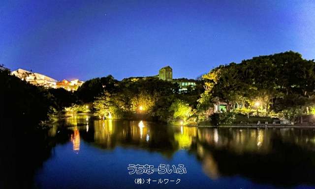その他 : 夜の龍潭池