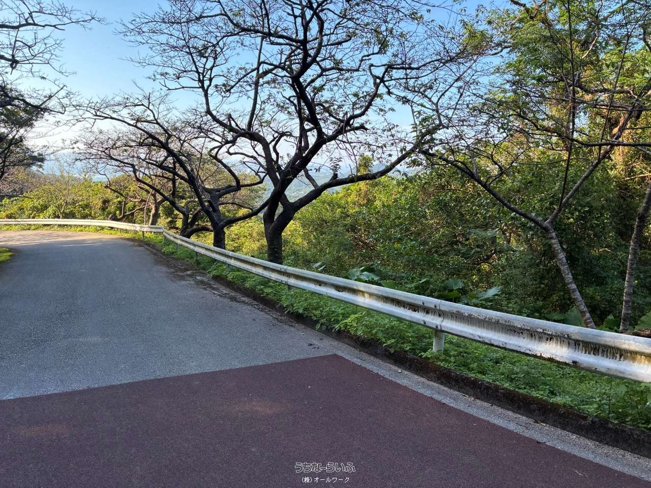 現地写真
