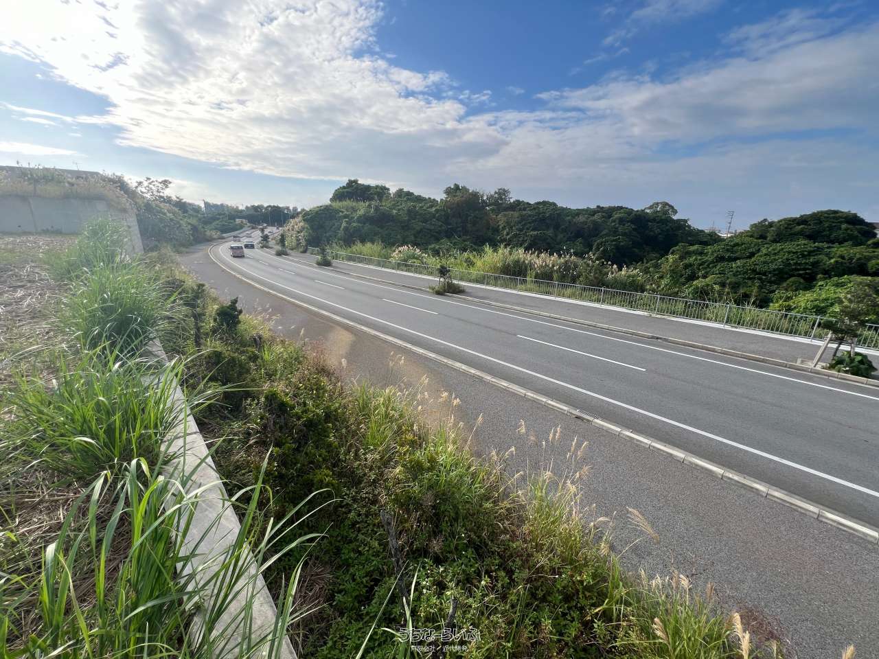1573坪の農地をお譲りします IMG_2779-1-scaled.jpg