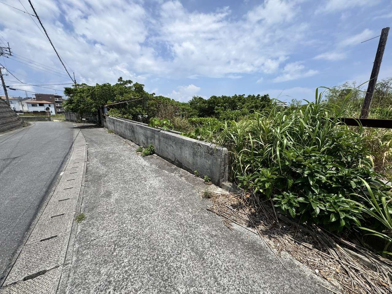 その他 : 前面道路から。敷地は道路より高く、道路沿いは擁壁と塀