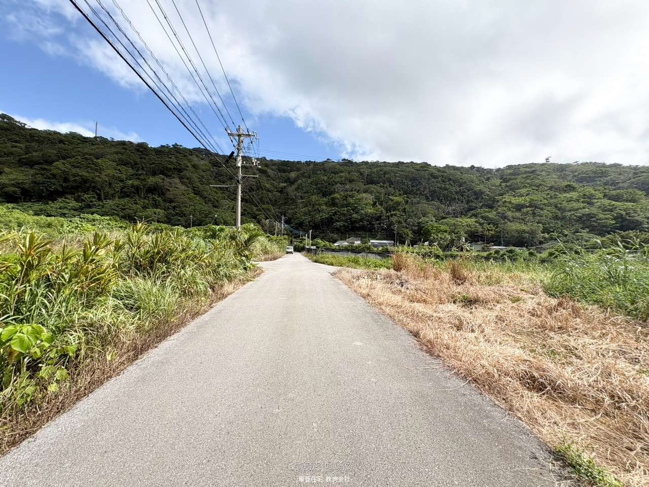 約110坪の平坦地