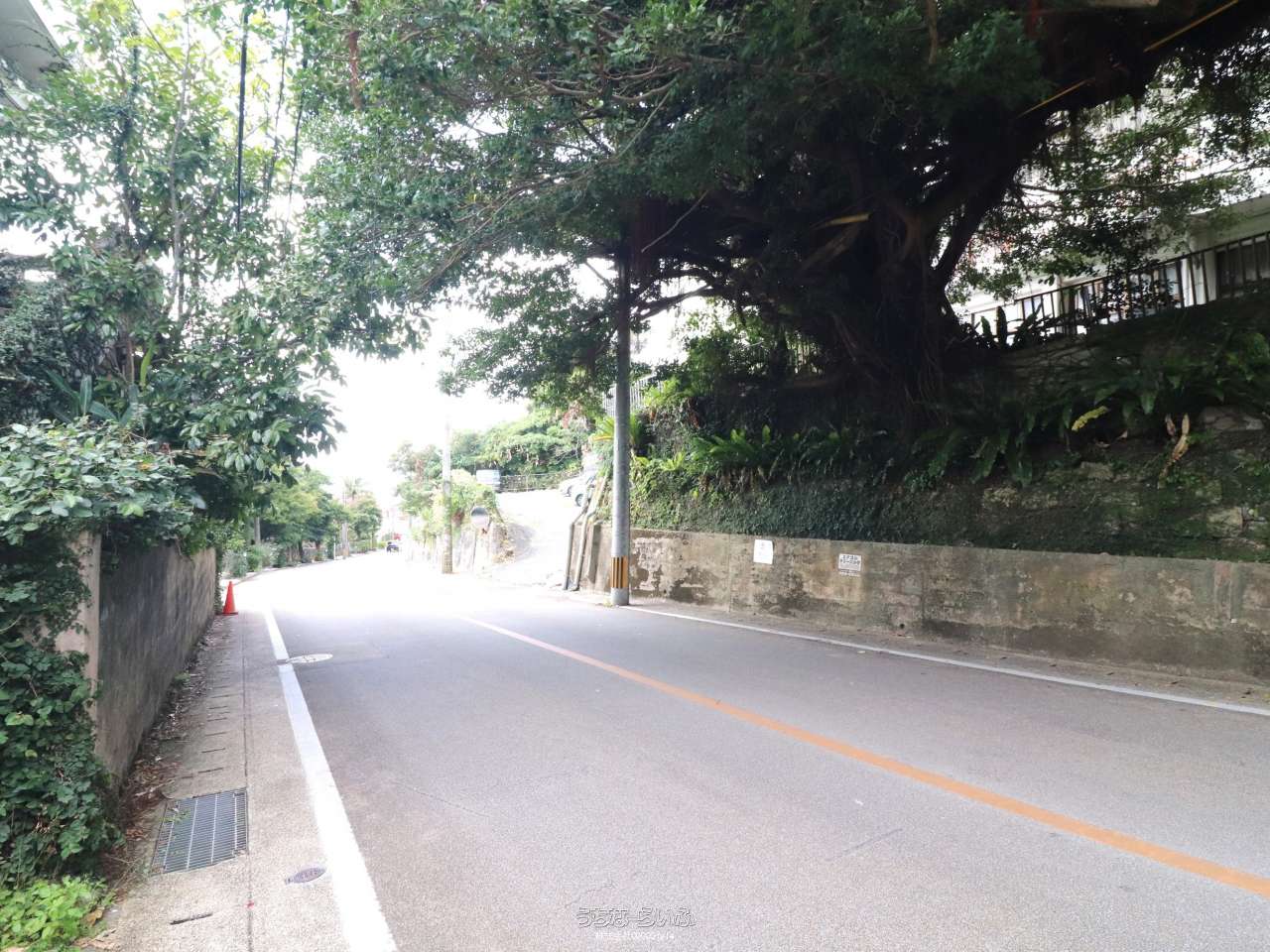 那覇市首里金城町1丁目 / 663.63m² / 200.75坪 / 1億4,000万円の売買