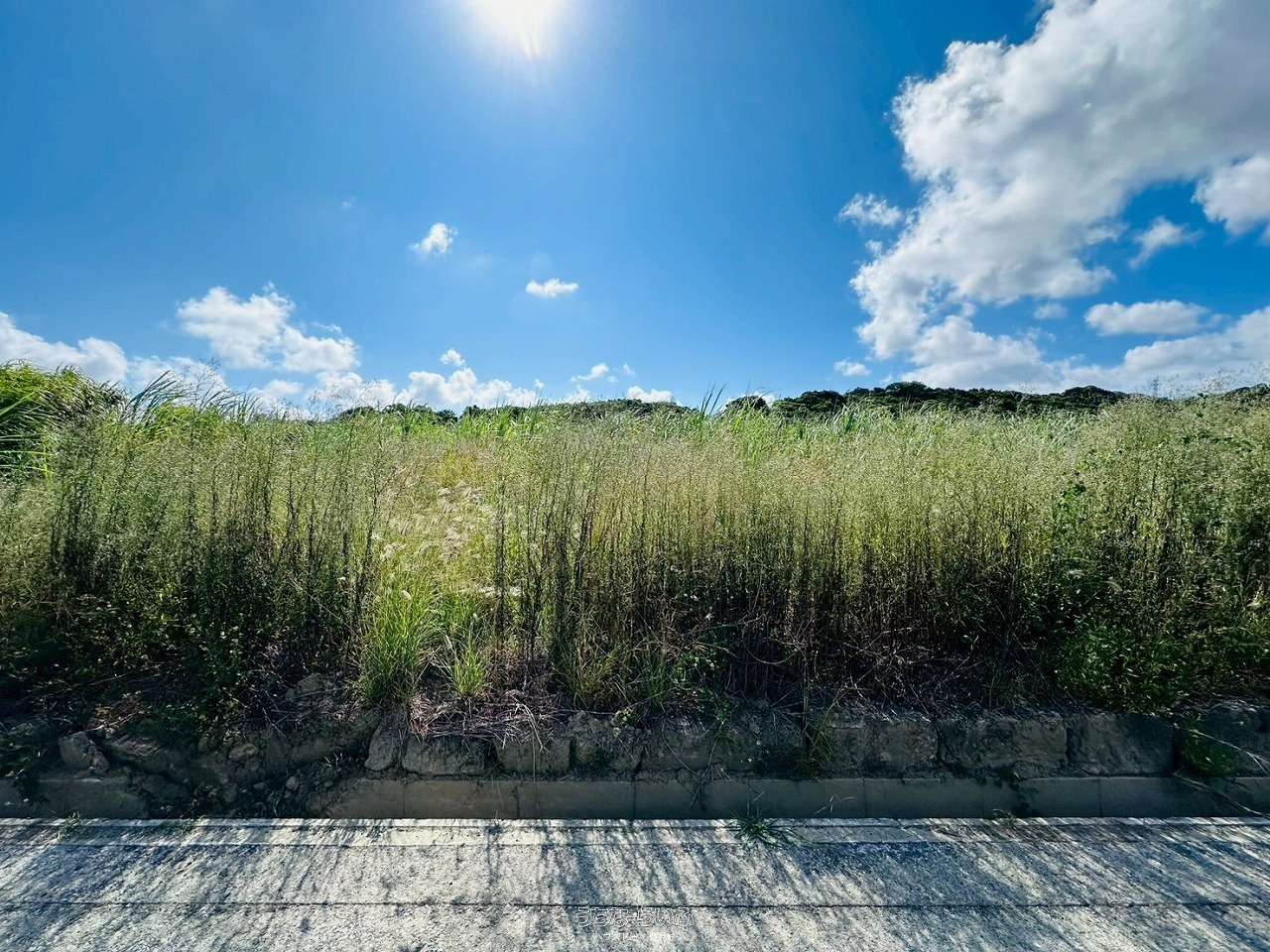 八重瀬町玻名城 / 2033m² / 614.98坪 / 5,980万円の売買土地 | 沖縄の