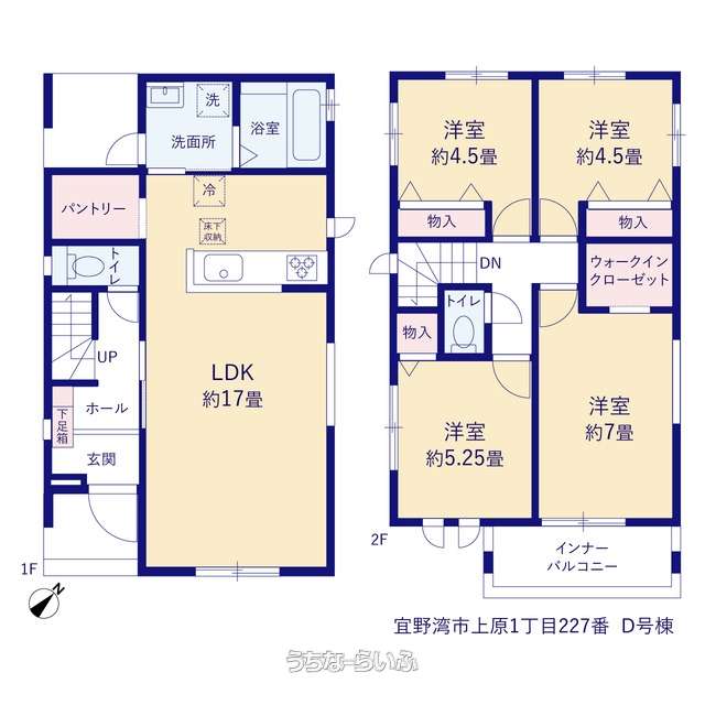 間取り図 : D号棟