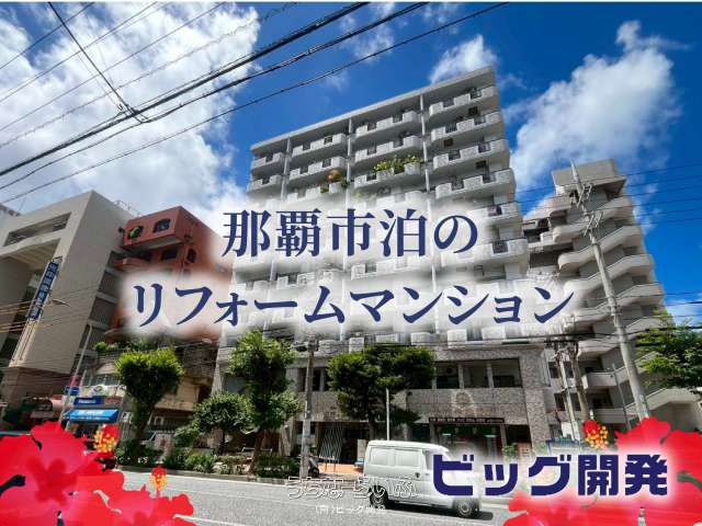 ライオンズマンション泊第８ 301号