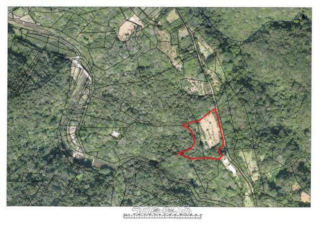 大宜味村田嘉里1675.1676