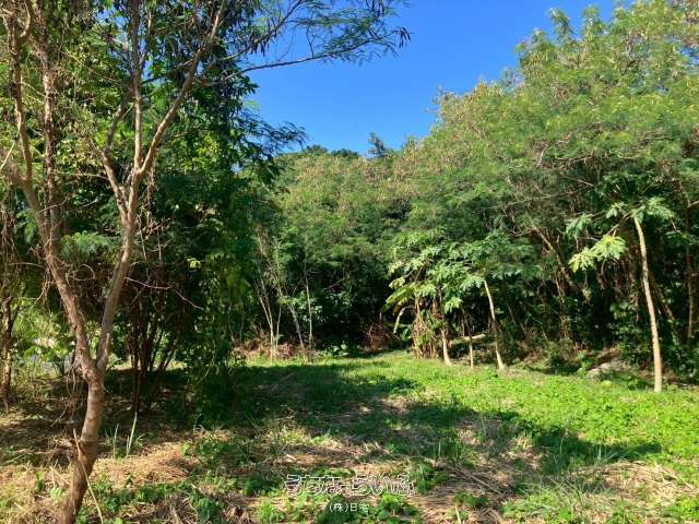 南城市佐敷字伊原589-1、589-3