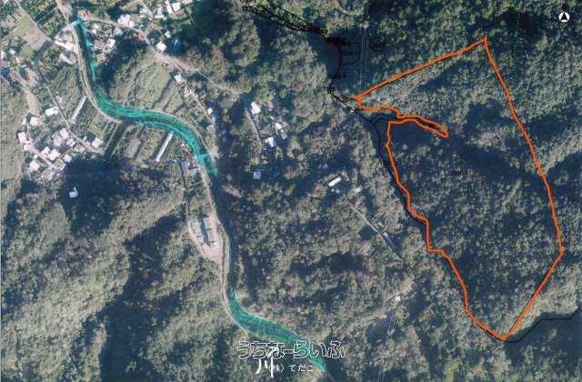 国頭村浜1536-1 土地