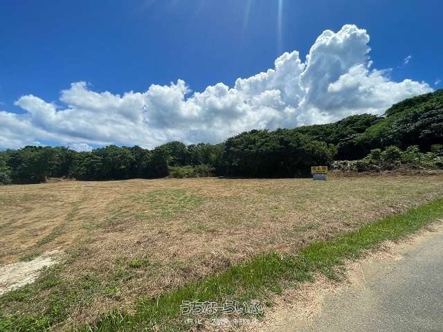 本部町備瀬3577㎡ / 1082.04坪