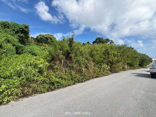 北中城字渡口　95.59坪