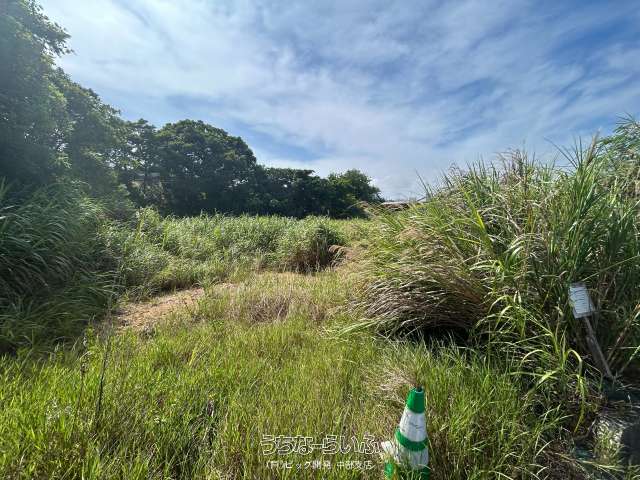 宜野座村惣慶 1781㎡ / 538.75坪