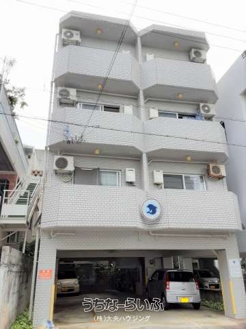 ドルフィンズエココート 3-C号