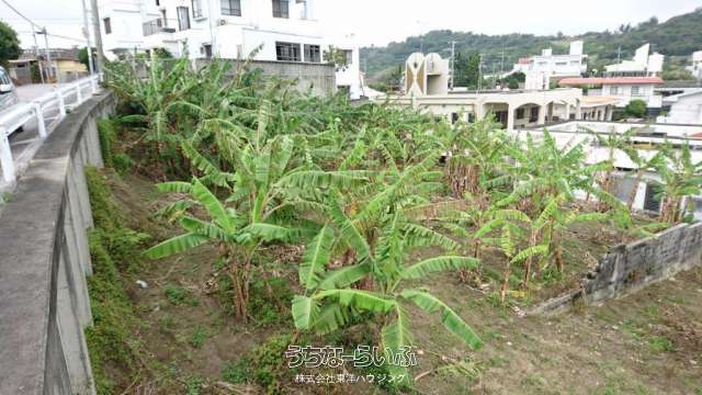 渡嘉敷売地１５５３