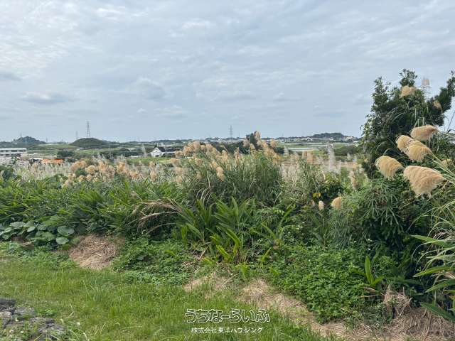 糸満市字豊原　売地