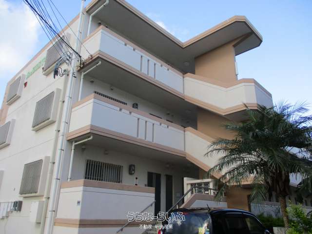 セリバルＴ・Ｓ