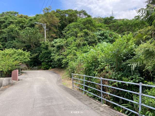 名護市振慶名【地目：畑】売土地♪