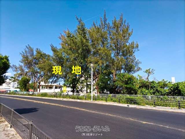 金武町金武310坪