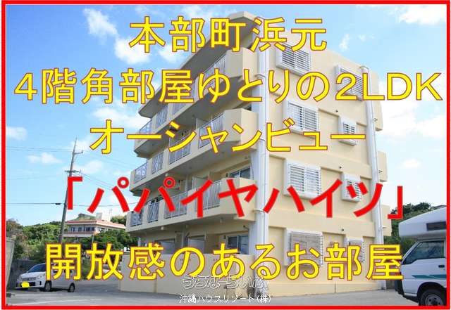 パパイヤハイツ 4-A号