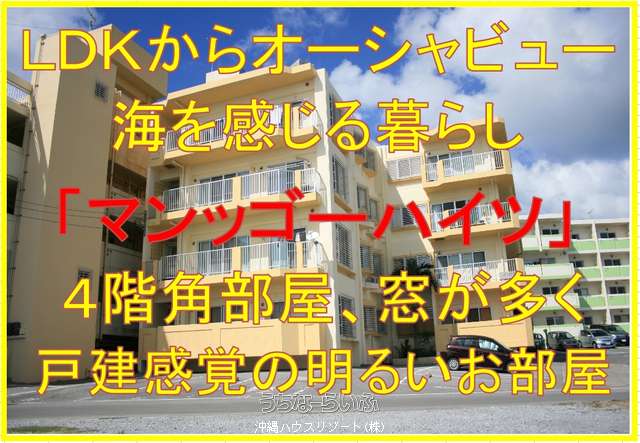 マンゴーハイツ 4-B号