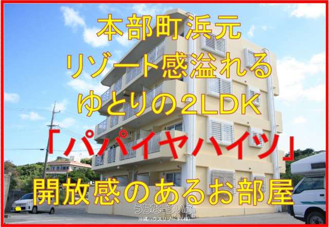 パパイヤハイツ 1-C号