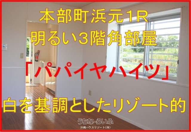 パパイヤハイツ 3-A号