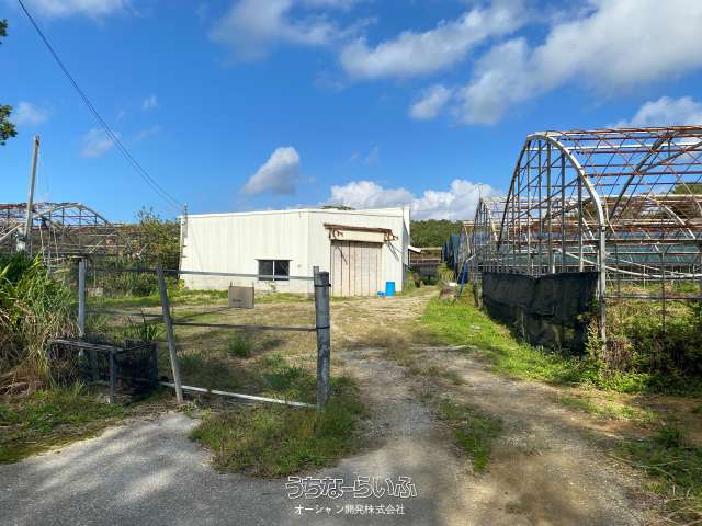 名護市天仁屋(元珈琲農園)