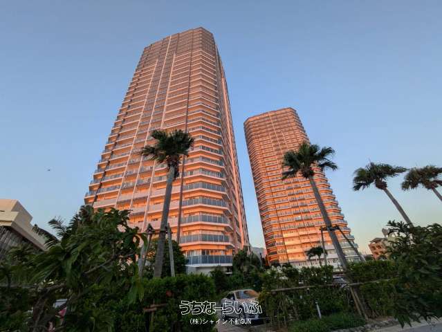 リュークスタワー・ザ・イースト（東棟） 1031号