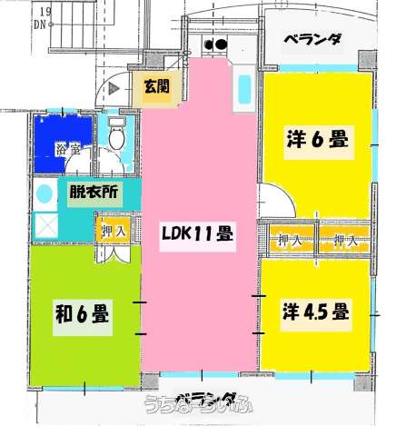 かすみそうII 202号