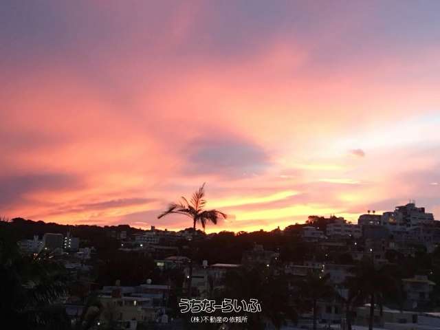 ライオンズパレス山川 3F号