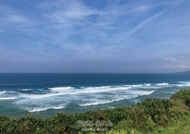 今帰仁村崎山　C23-21