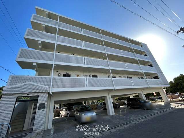 シャトレ名護 505号