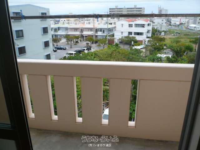 ハイビスカス高原 ４０１号