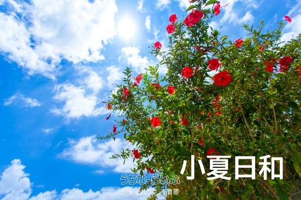 那覇市識名 RC4階建(一棟4世帯)④