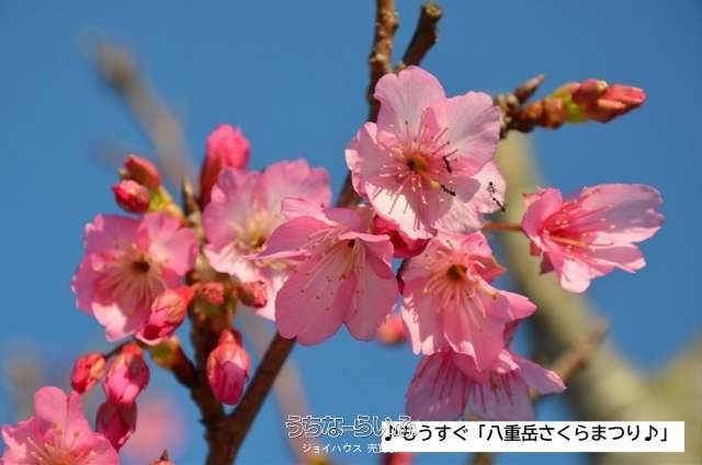 中古住宅　与那原町板良敷