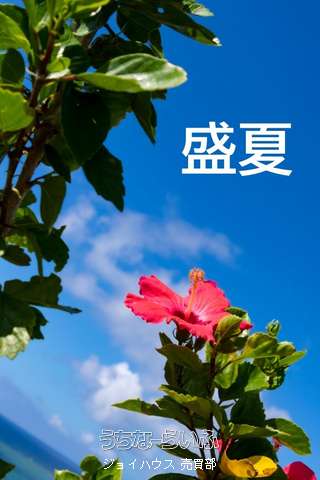 中古戸建 北中城村荻堂 7LDK(土地483坪 )畑付き