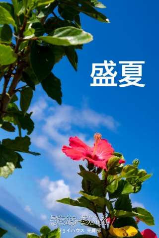 相互マンション長田第一