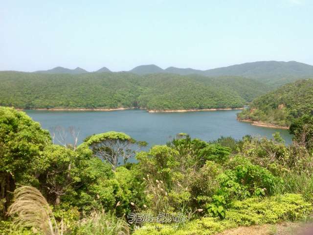 東村川田・農地