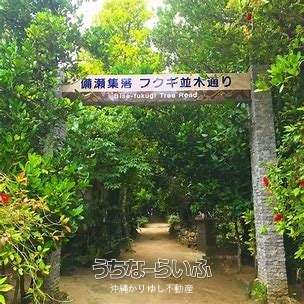 備瀬フクギ並木近くの土地