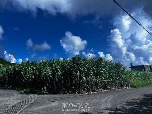 南城市玉城字糸数