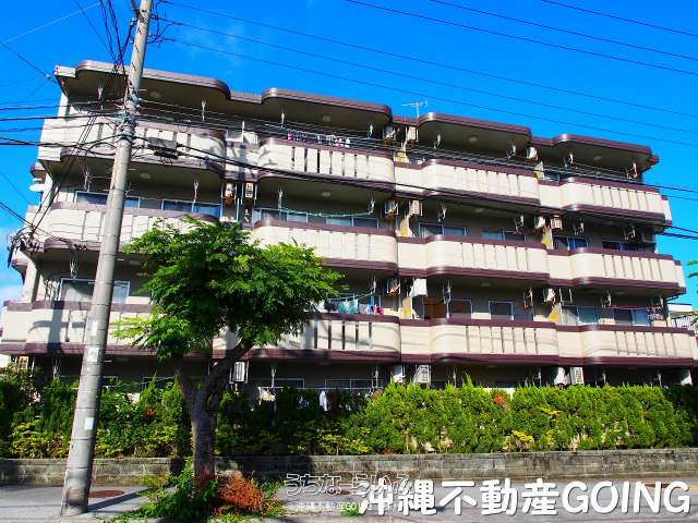 フェニックス 201号