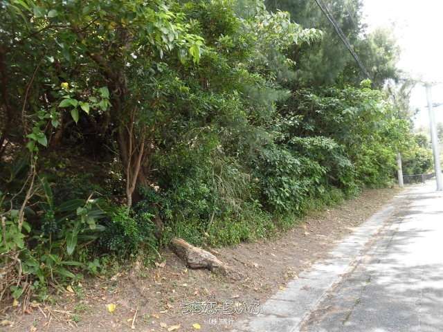 恩納村仲泊980万円