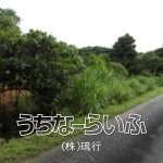 今帰仁村運天300万円