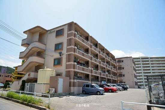 アルコイリス 208号